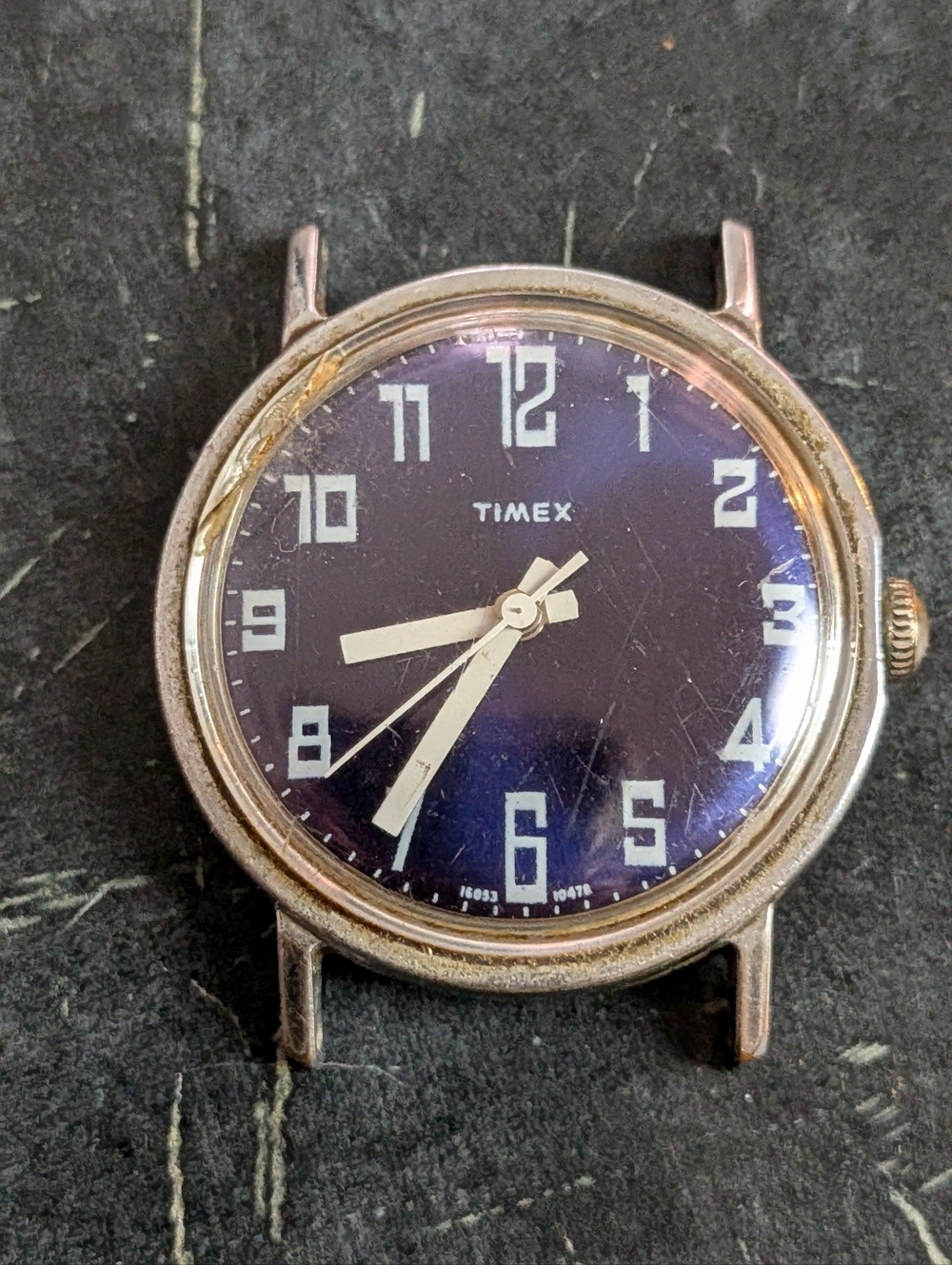 Timex Blue Dial Analog Watch Head with White Numerals